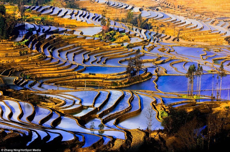 article-2525110-1A27B50C00000578-543_964x640