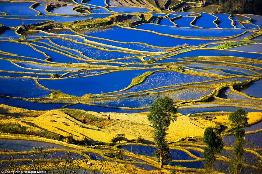 article-2525110-1A27B5D100000578-165_964x640