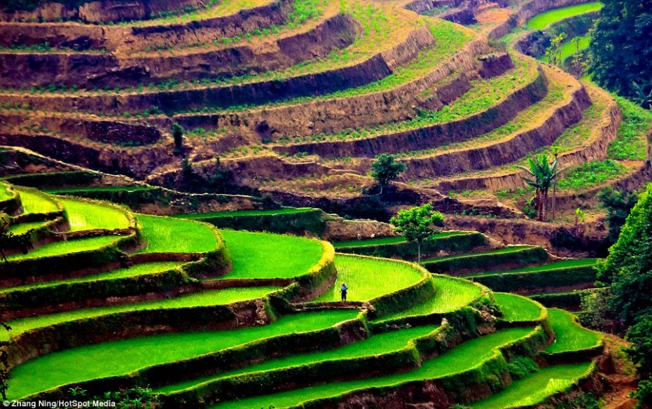 article-2525110-1A27B86000000578-266_964x605