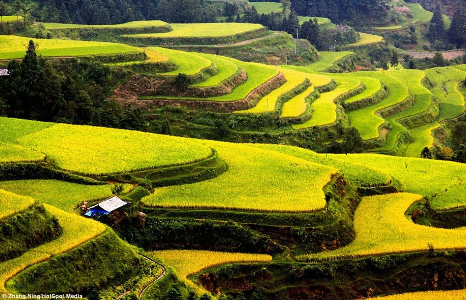 article-2525110-1A27BCE700000578-1000_964x620