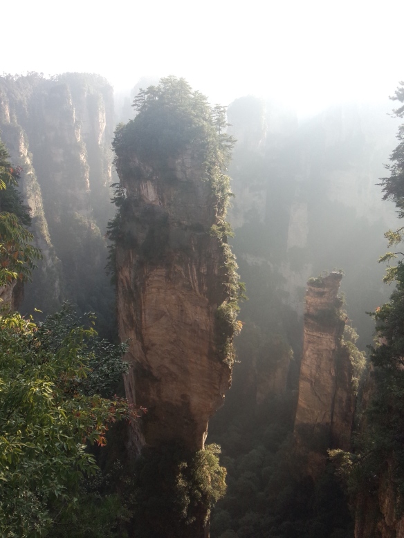 Erosiones rocosas Parque de Avatar China